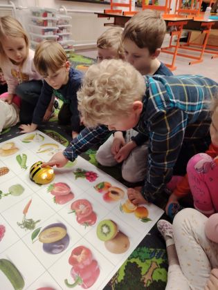 Fotografie img-20260131-wa0028_original.jpg