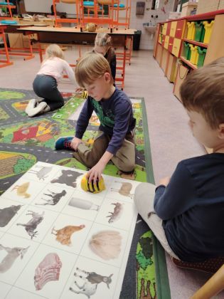 Fotografie img-20260131-wa0029_original.jpg