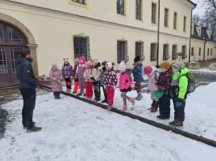 Fotografie img-20260206-wa0001_original.jpg