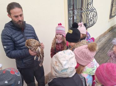 Foto k aktualitě Ptáci na krmítku 