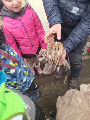 Fotografie img-20260206-wa0003_original.jpg