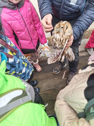 Fotografie img-20260206-wa0007_original.jpg