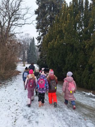 Fotografie img-20260206-wa0009_original.jpg