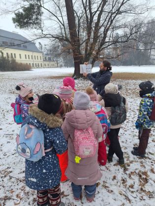 Fotografie img-20260206-wa0011_original.jpg