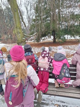 Fotografie img-20260206-wa0012_original.jpg