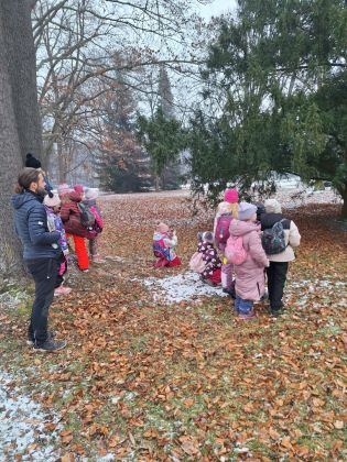 Fotografie img-20260206-wa0014_original.jpg