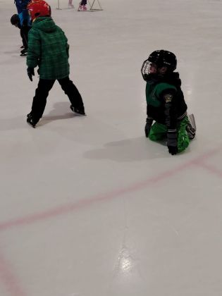 Fotografie img-20260212-wa0003_original.jpg