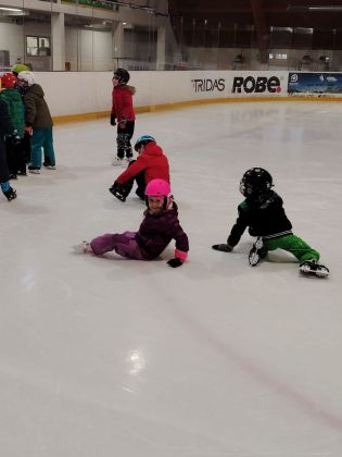 Fotografie img-20260212-wa0013_original.jpg