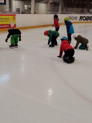 Fotografie img-20260212-wa0016_original.jpg