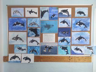 Fotografie img_20260216_131435_original.jpg