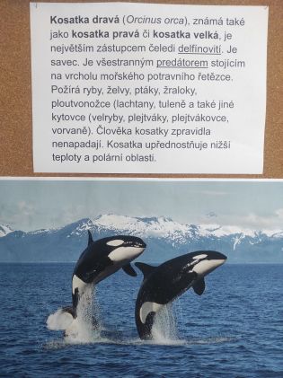 Fotografie img_20260216_131502_original.jpg