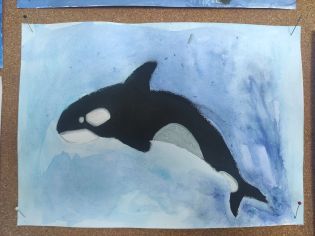 Fotografie img_20260216_131559_original.jpg