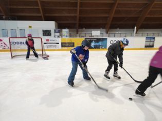 Fotografie img_20260219_101343_original.jpg