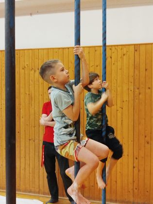 Fotografie img-20260225-wa0001_1_original.jpg