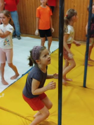 Fotografie img-20260225-wa0011_original.jpg